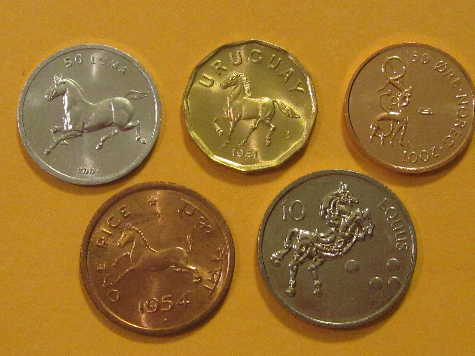 Horse Coin Set 5 Coins  Uncirculated India Norway Animal Coin Nice Starter Set